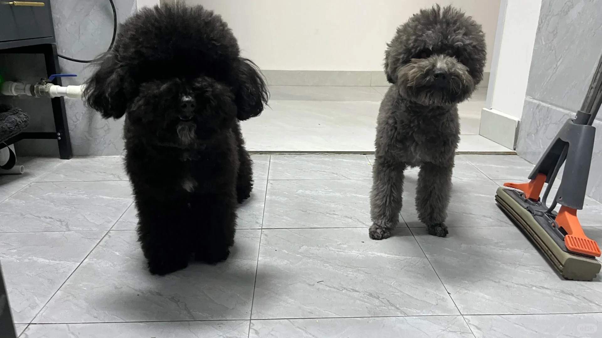 聊城开发区当代学区房出售房东自住房