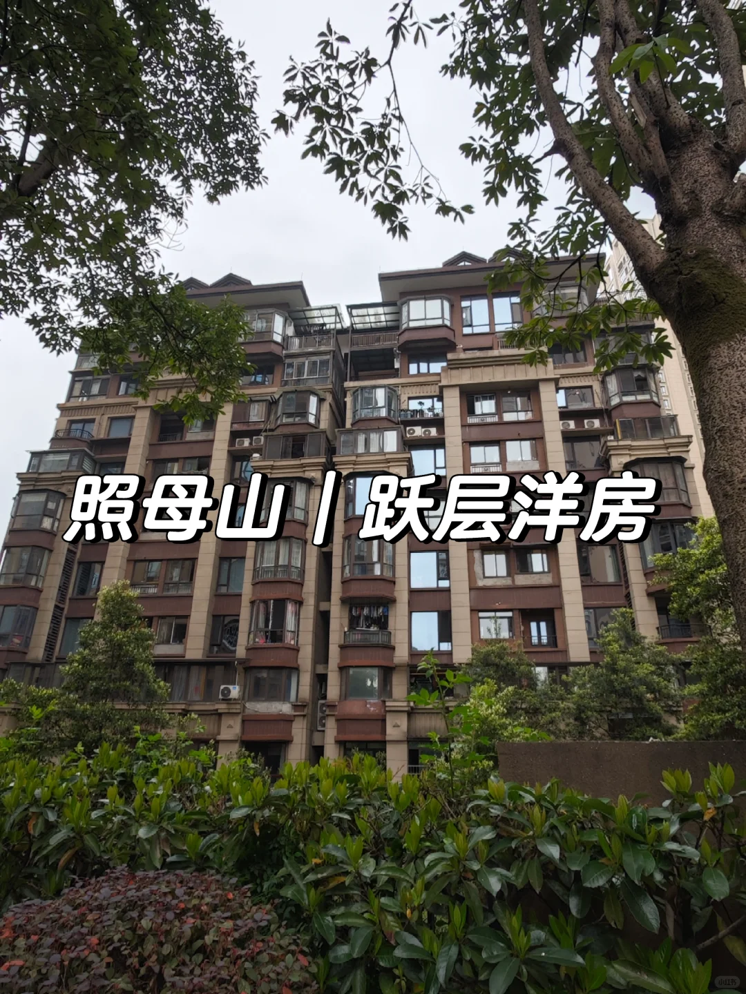 照母山｜135w起 洋房