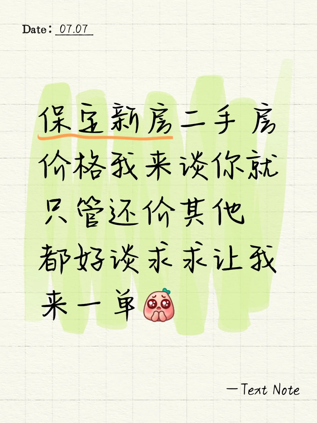 一个刚来的中介