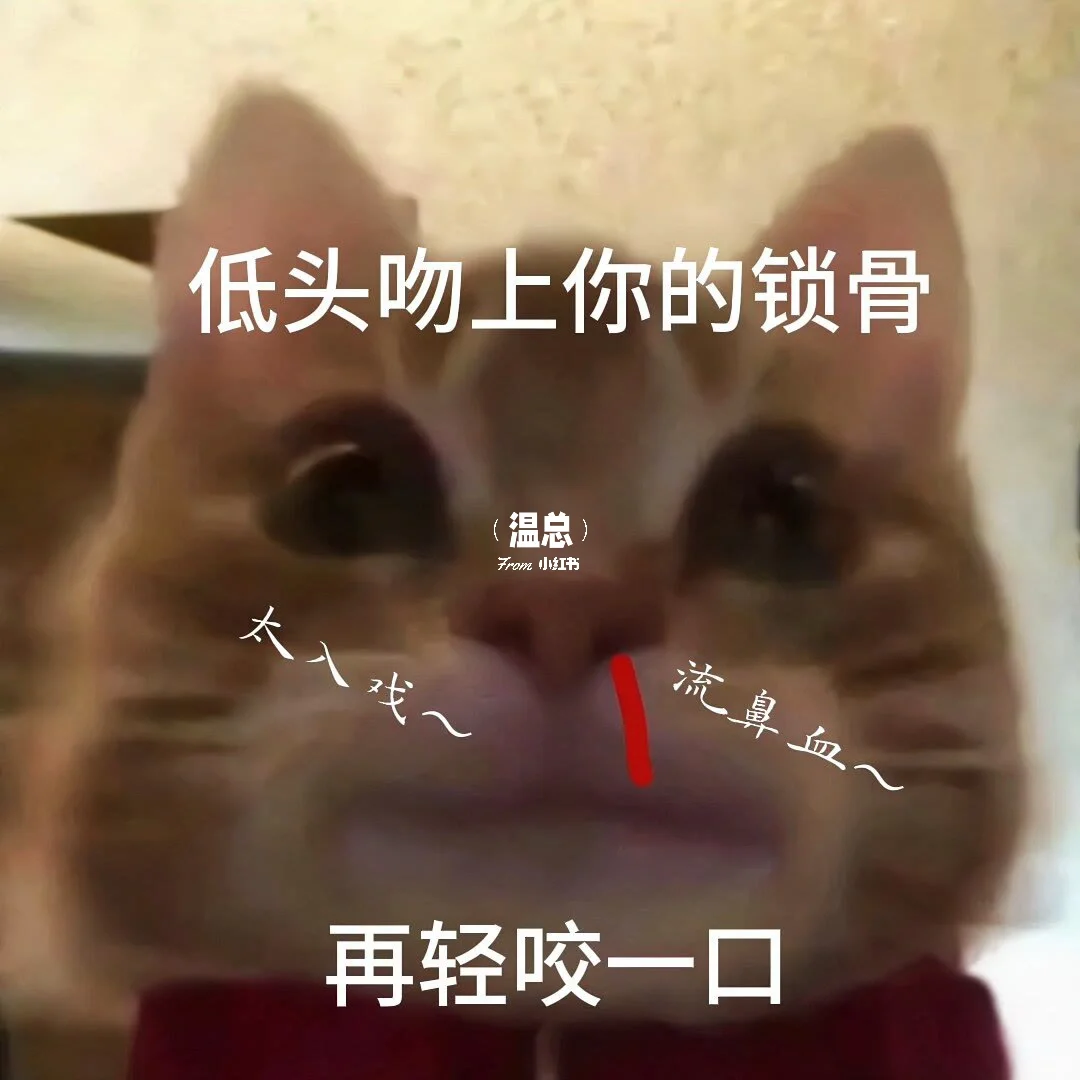 情侣表情包 | 🔞拿去套路男朋友吧