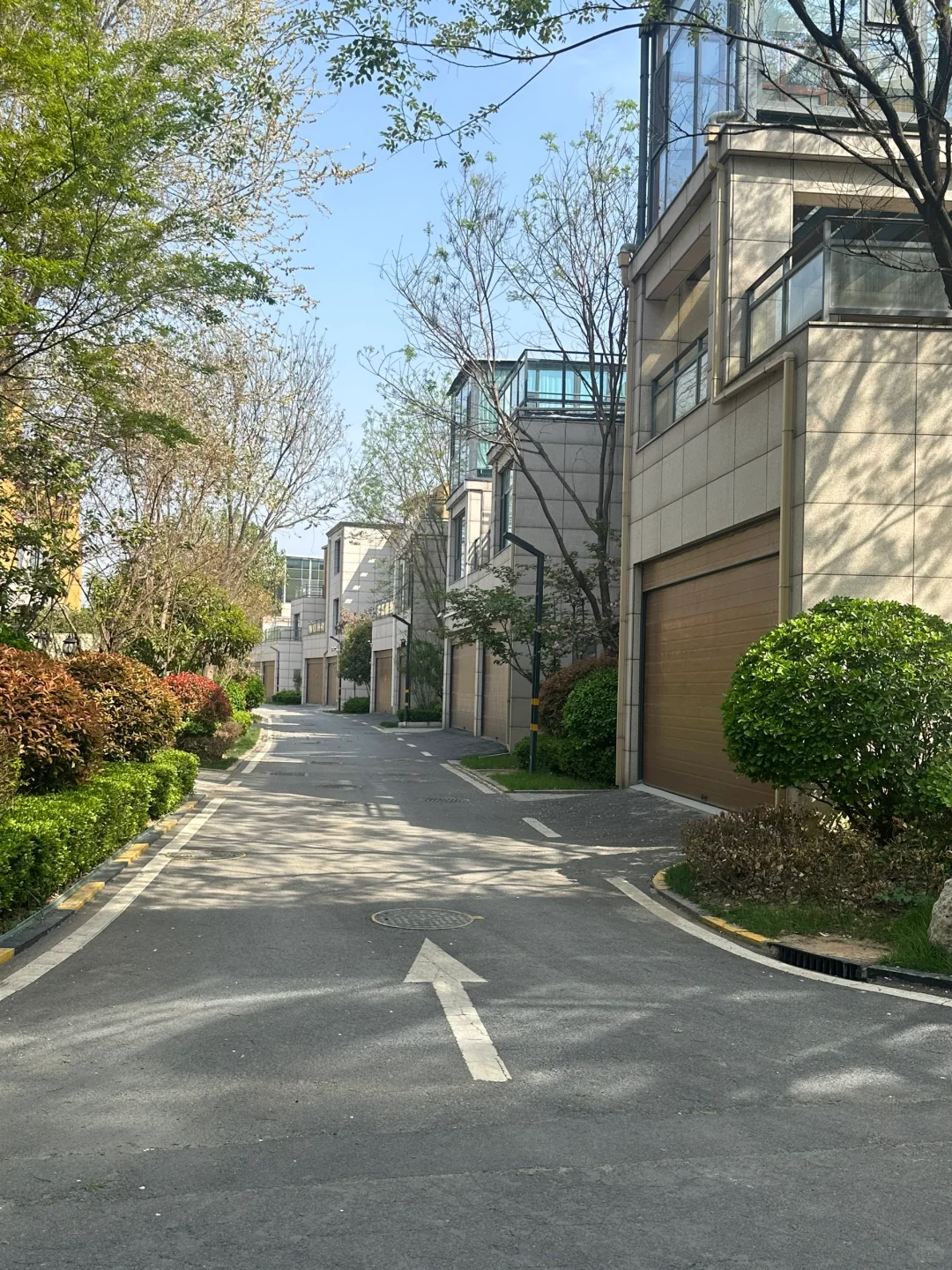 在邯郸！！今日实景～