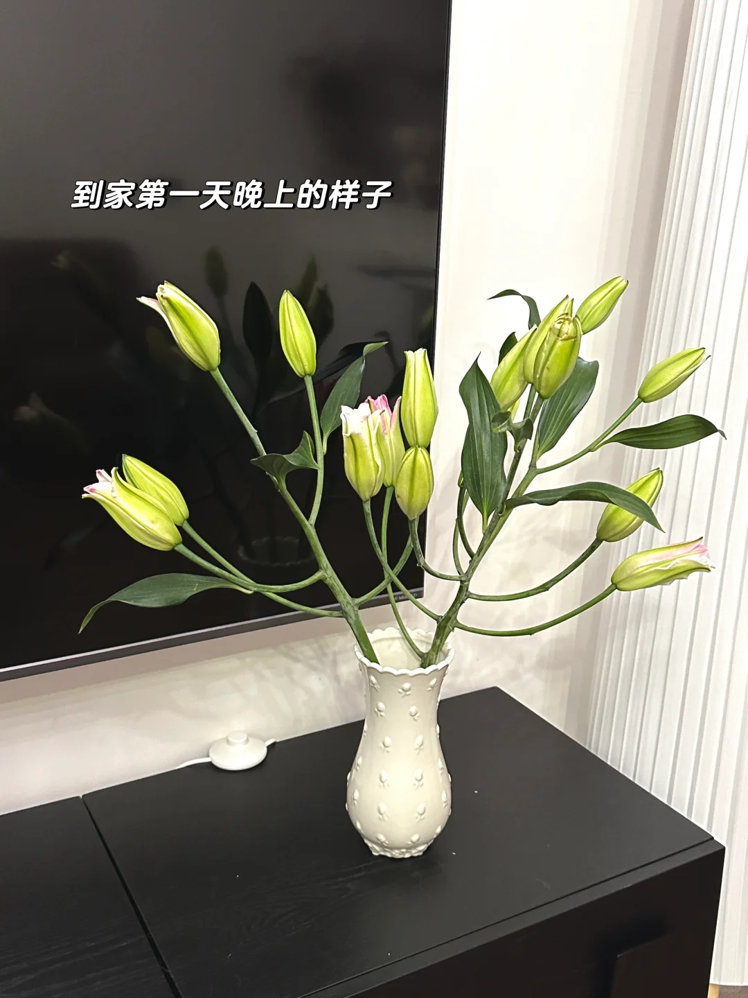 娇艳欲滴具像化了🎀