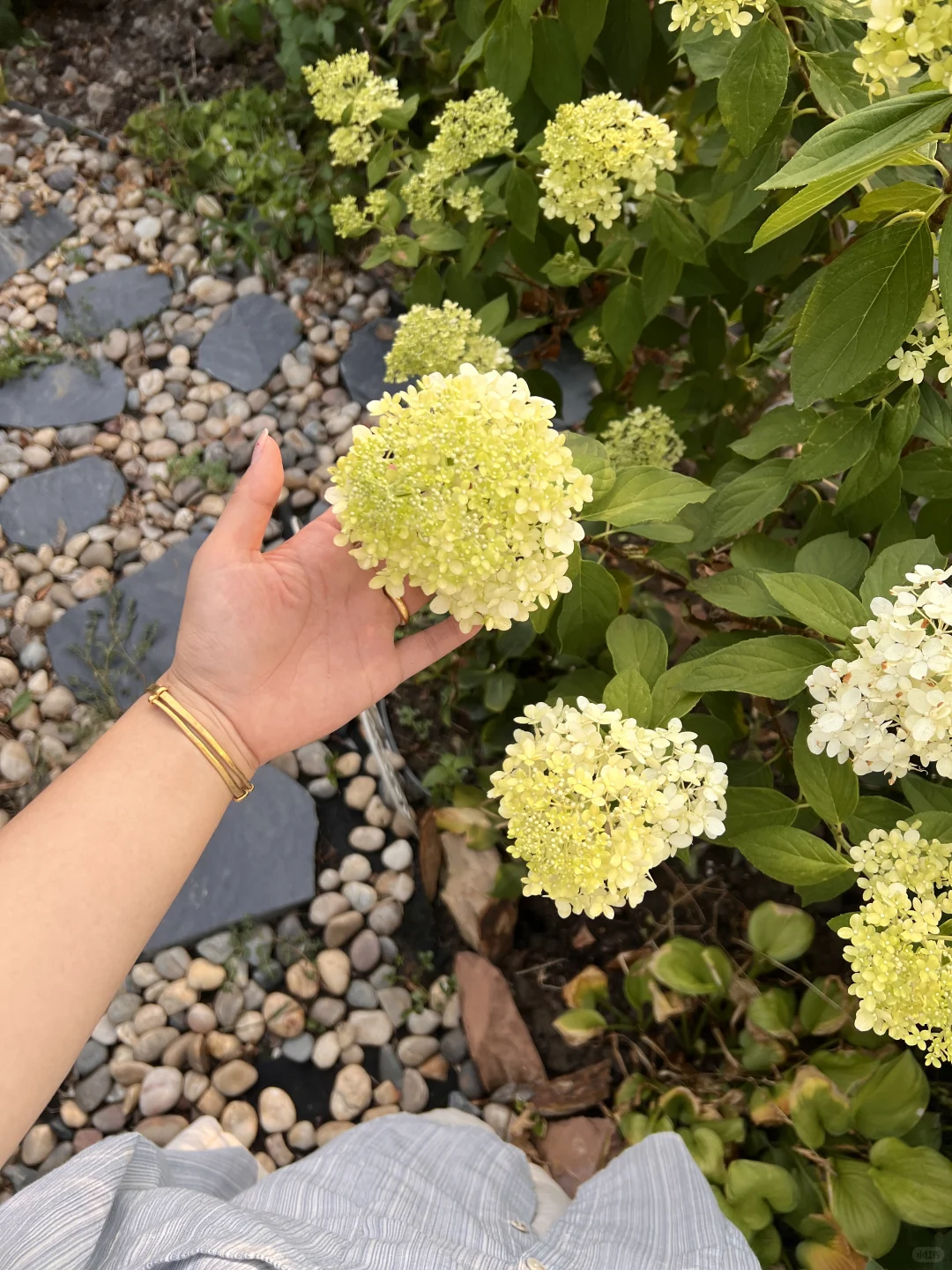 江浙沪独生女😆在农村的400 ㎡自建别墅