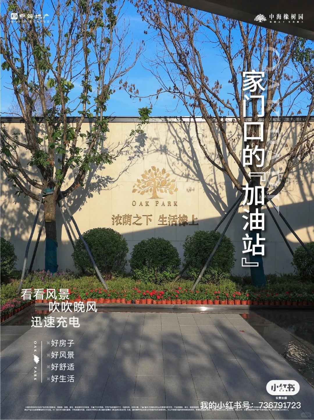 好房子真的超治愈✨