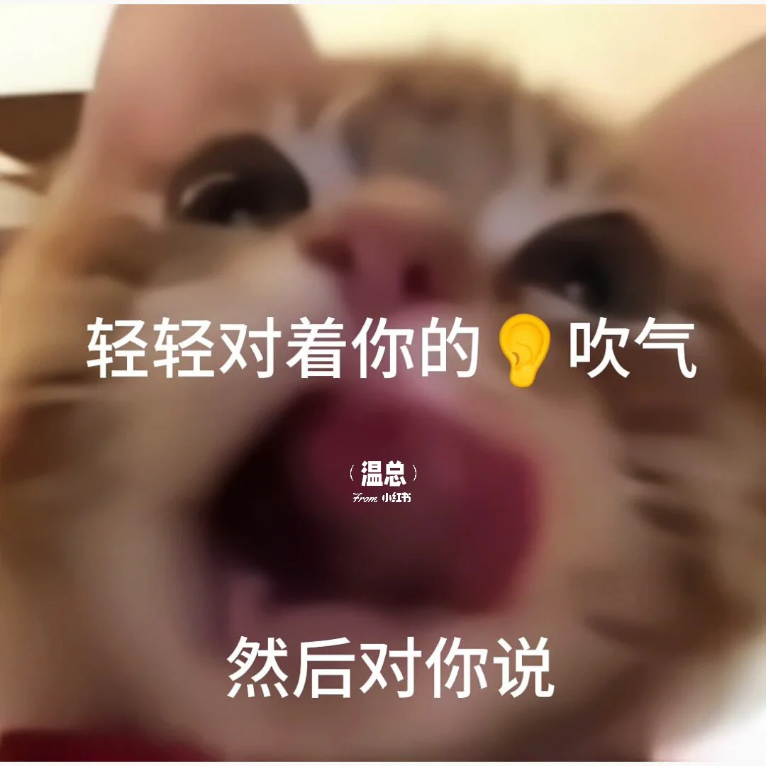 情侣表情包 | 🔞拿去套路男朋友吧