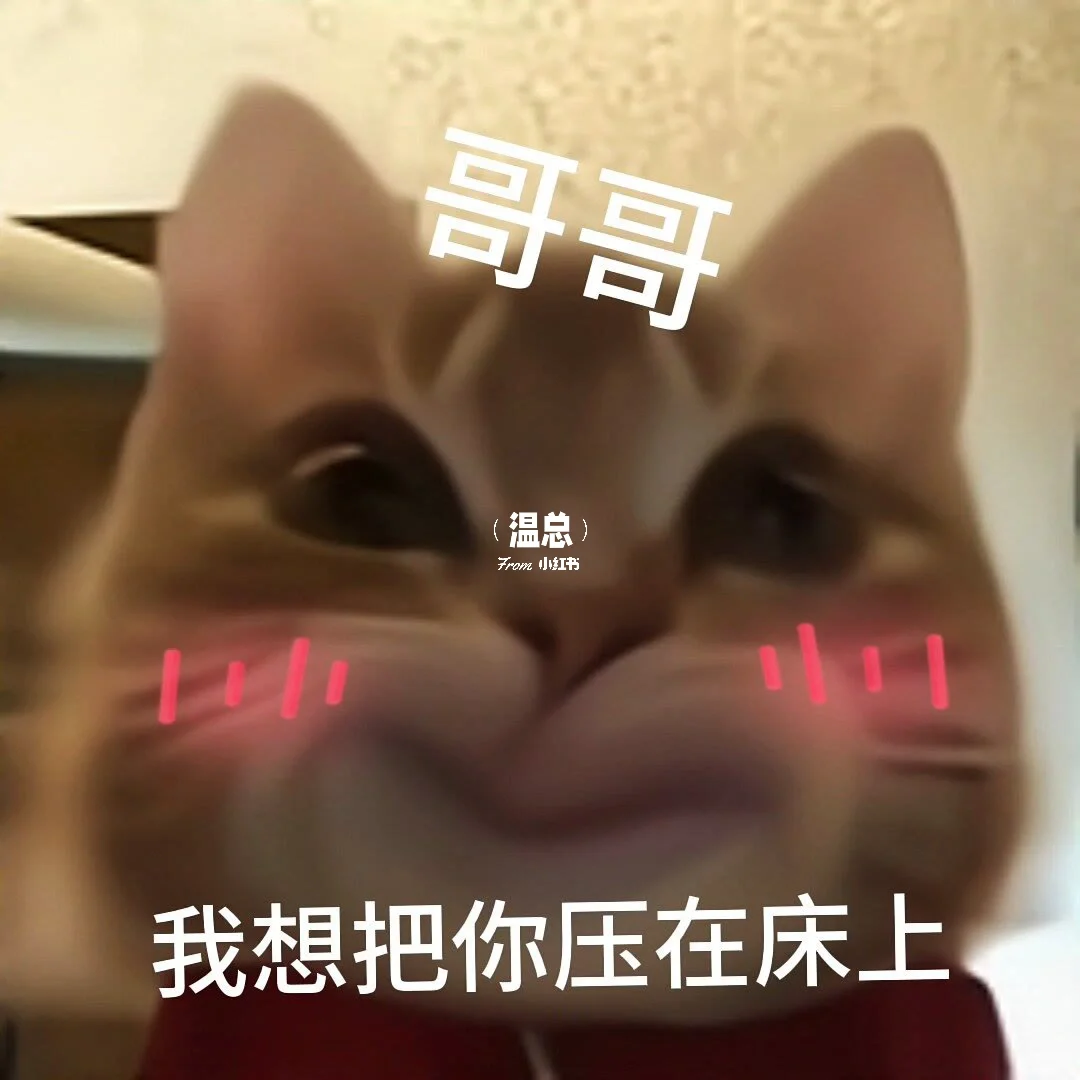 情侣表情包 | 🔞拿去套路男朋友吧