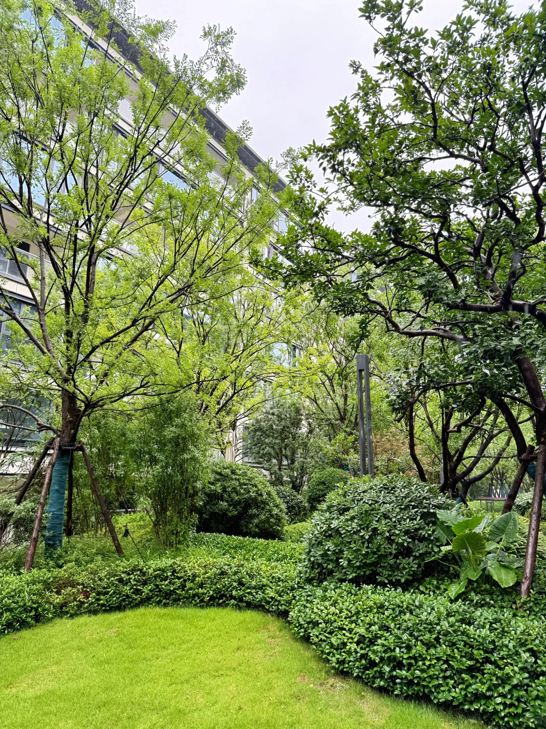 长沙岳麓 | 从2万降到1.35万，洋房中现房🏠