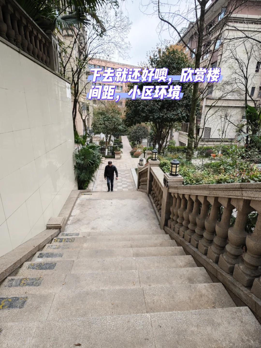 照母山｜135w起 洋房