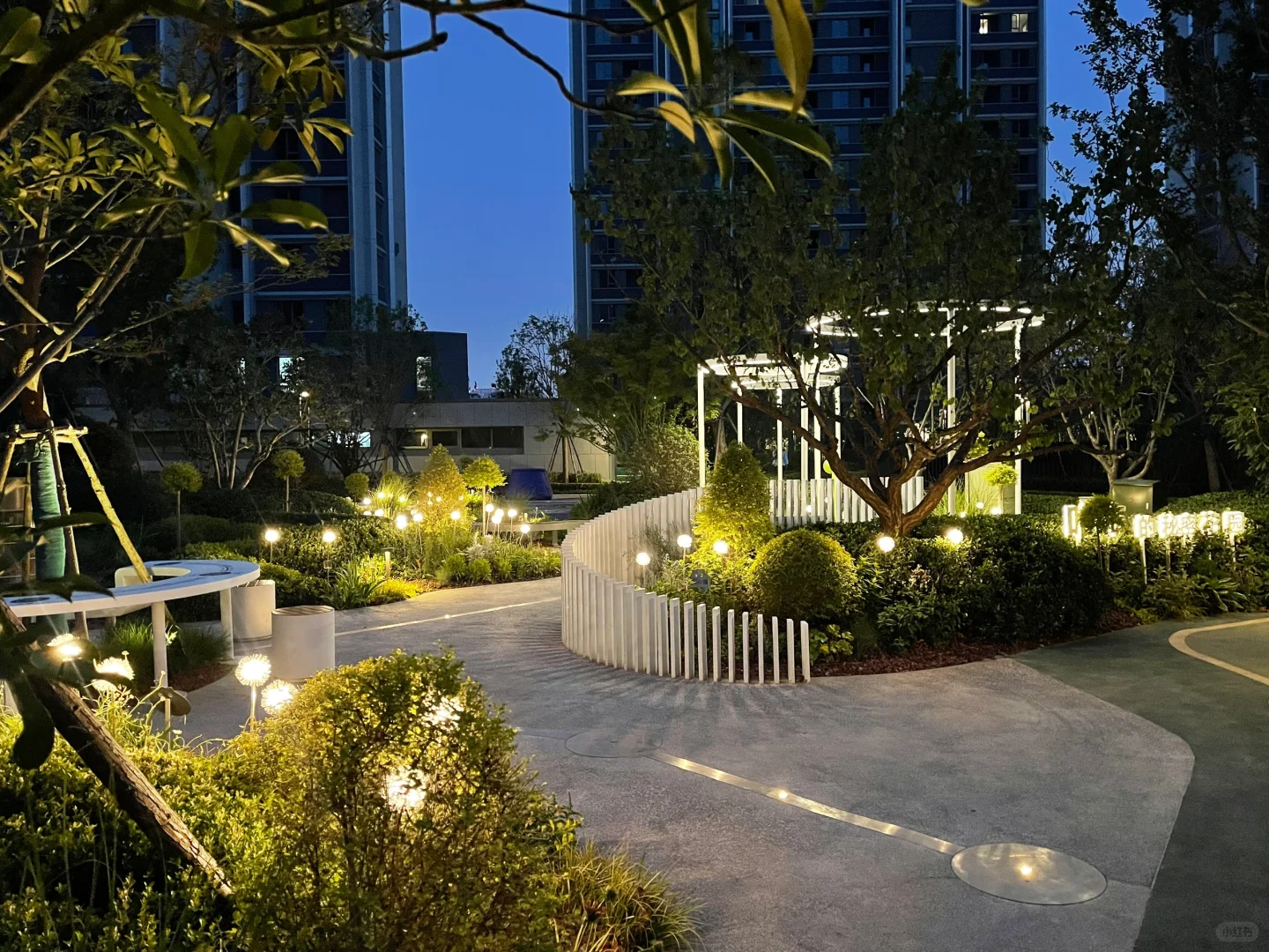 济南【绿城春风心语】实景图💓邻居今天拍的💕