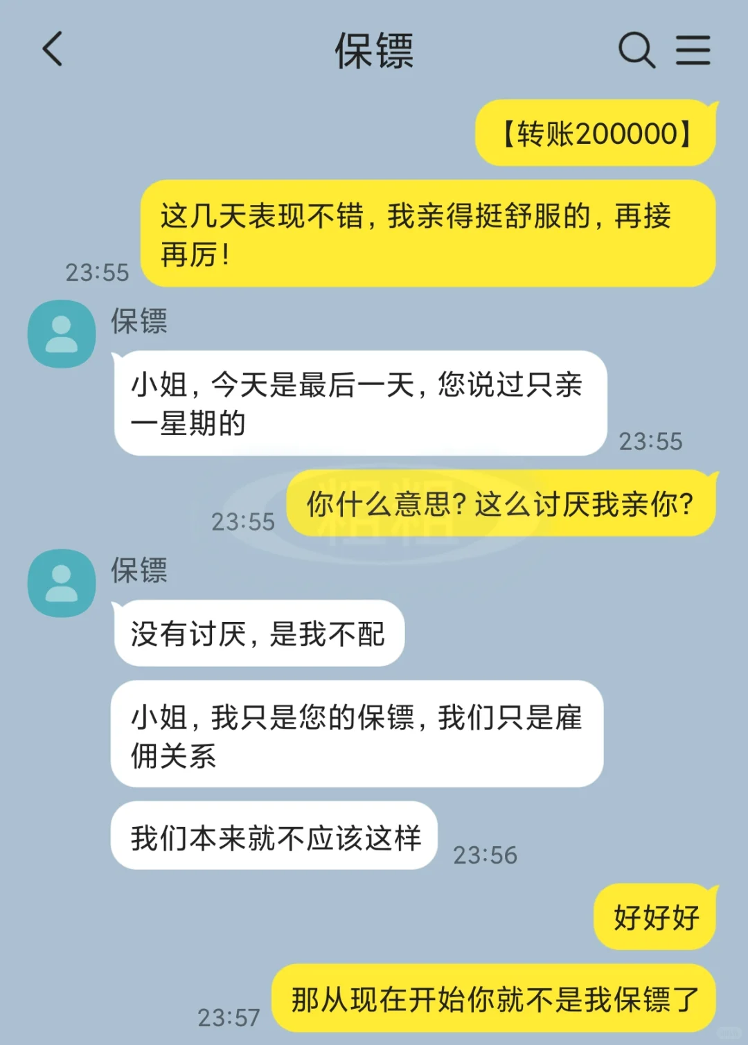 保镖太诱人了，本小姐想亲就亲