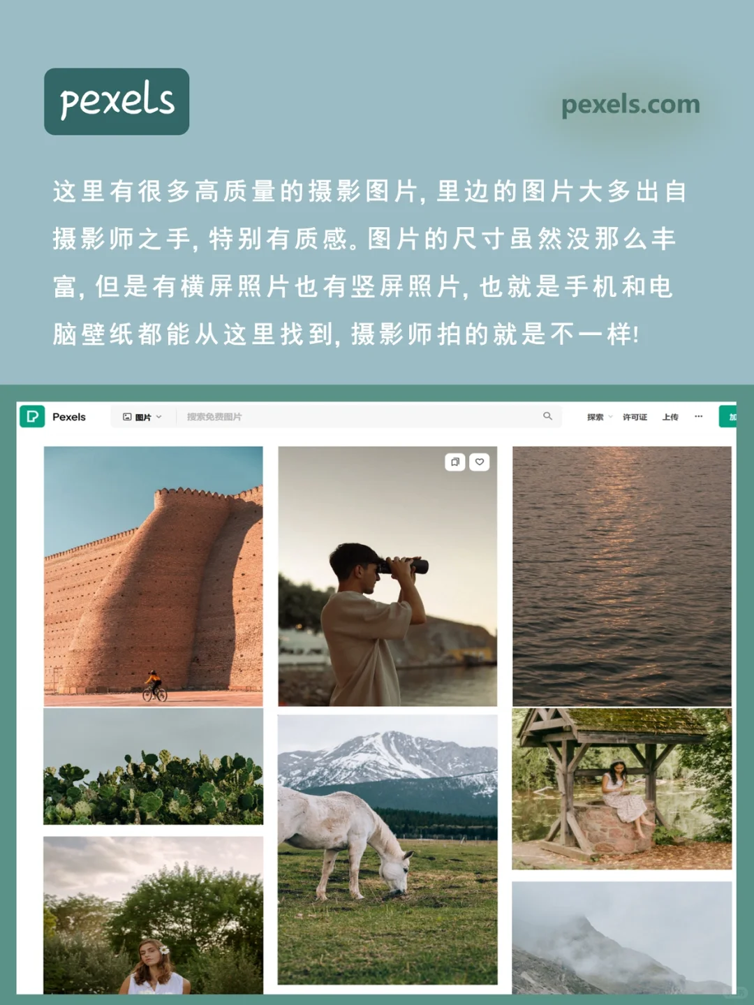 快码住❗这7个高质量壁纸网站让你壁纸自由