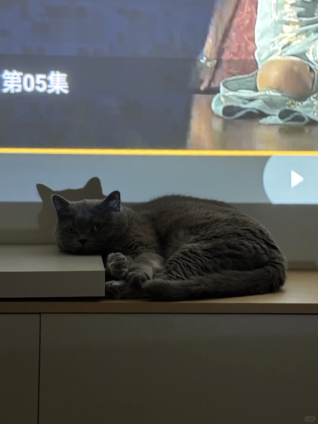 边户loft公寓装修入住一年！