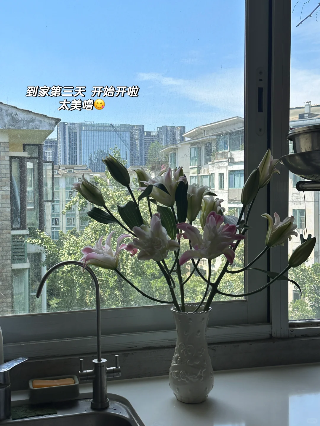 娇艳欲滴具像化了🎀