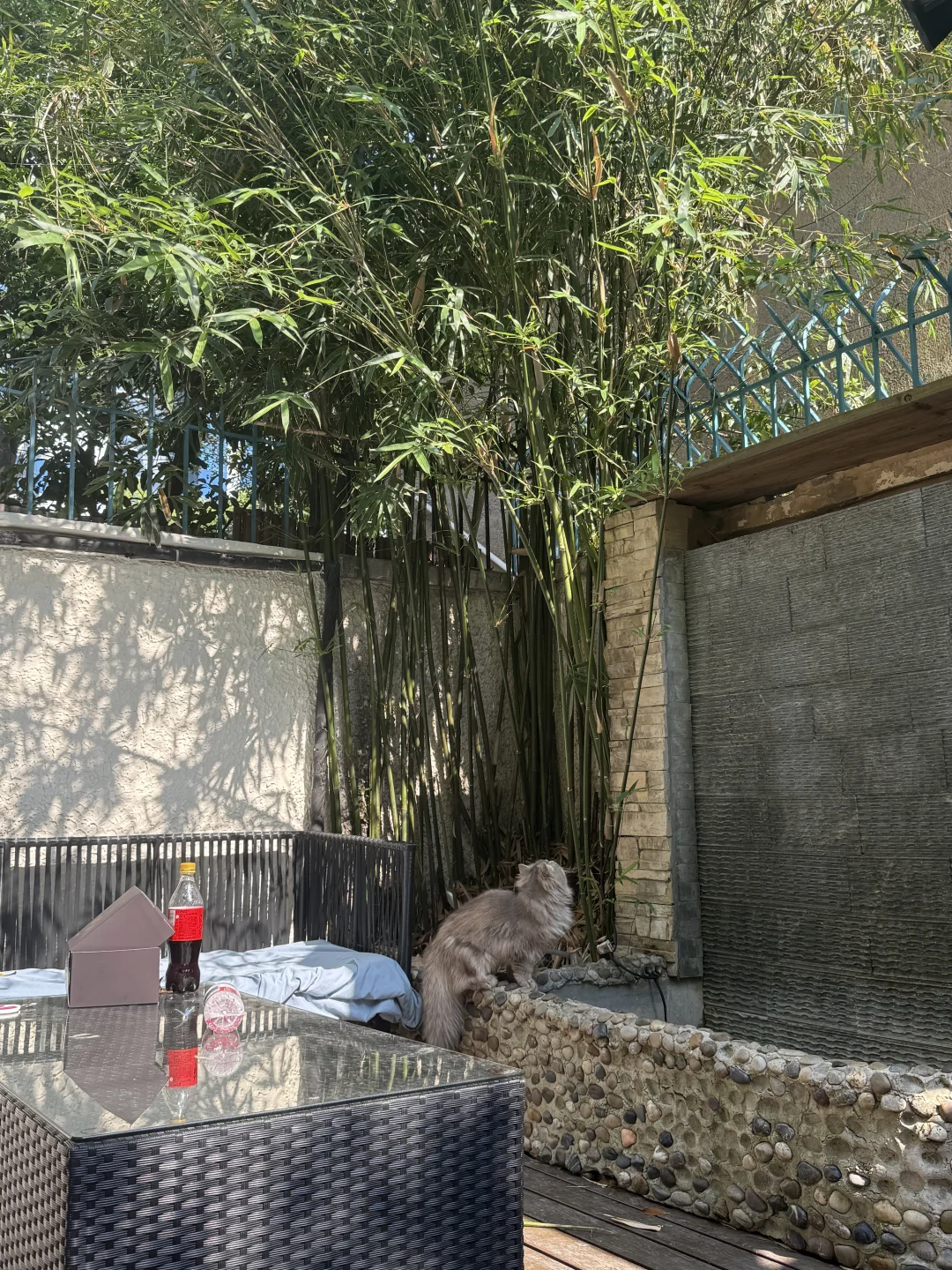 🎋住进老洋房