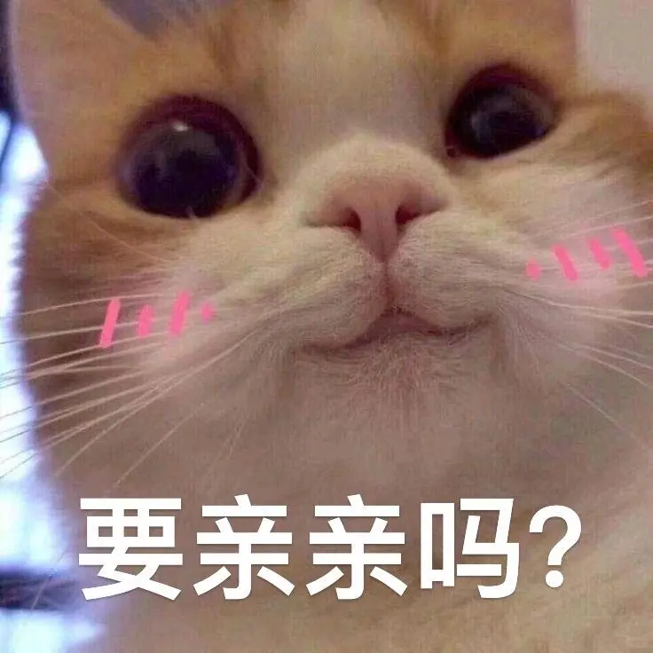 表情包|涩涩女生必备撩汉神器🫣🫣🫣