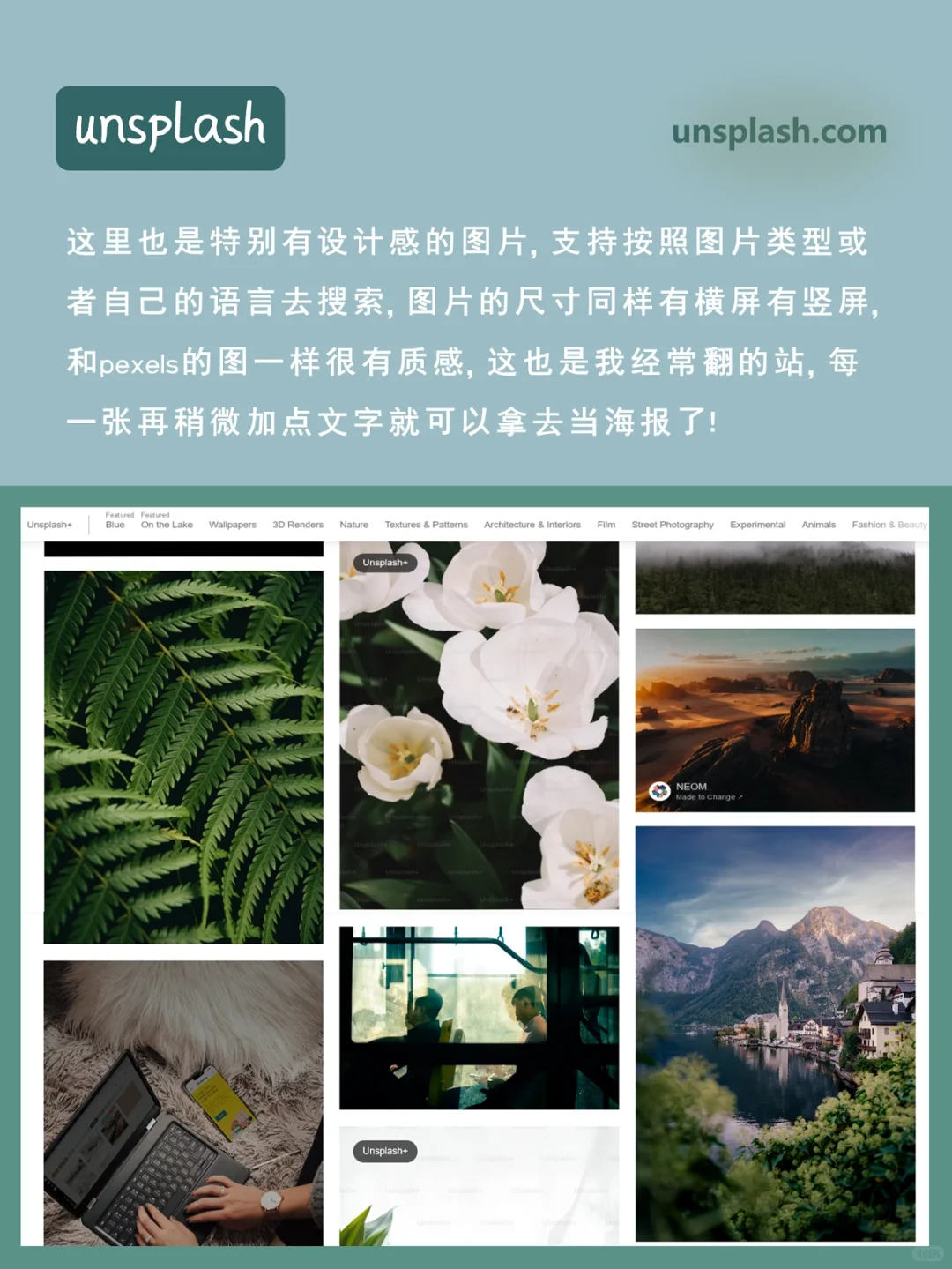 快码住❗这7个高质量壁纸网站让你壁纸自由