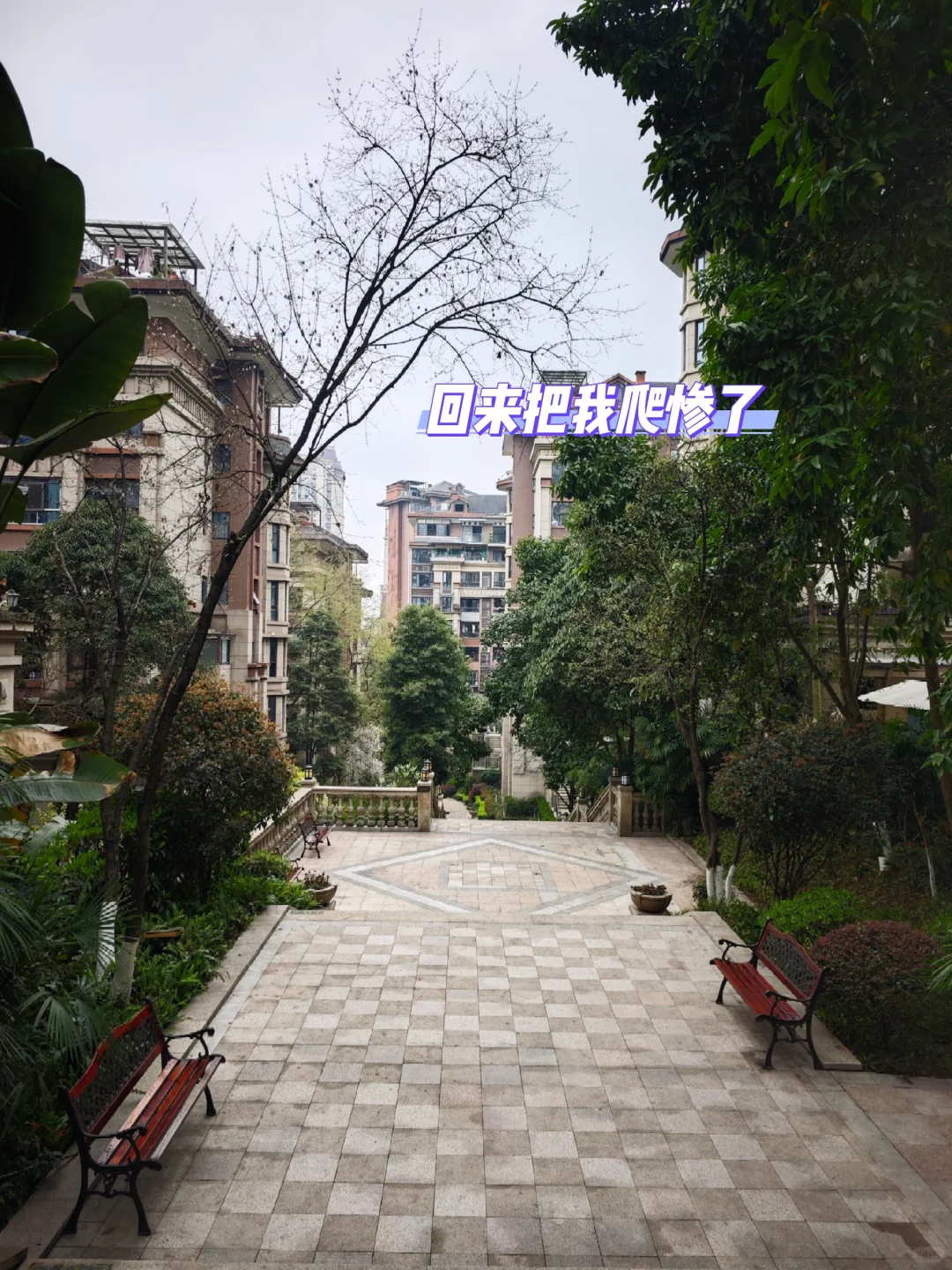 照母山｜135w起 洋房