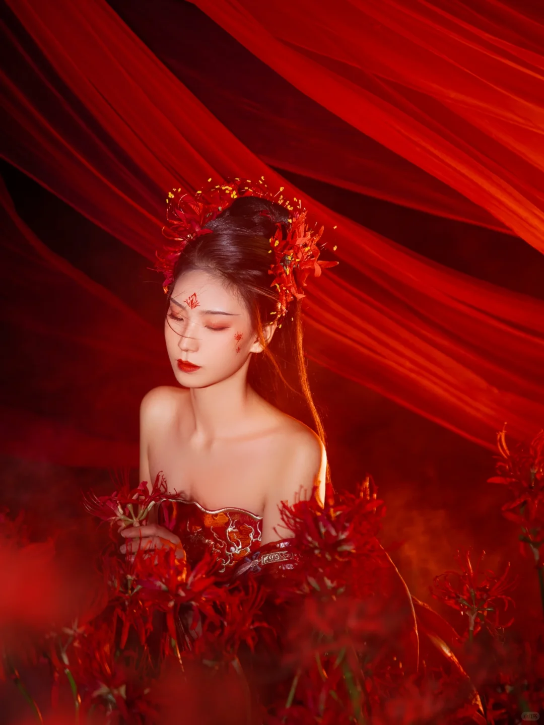冷酷妖艳的彼岸花写真你见过吗？