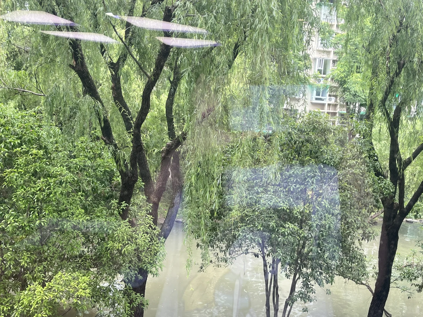 想知道你们的快钱有多快