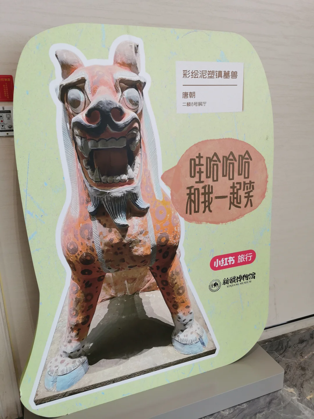新疆博物馆|凑近一看妈耶这是啥😳