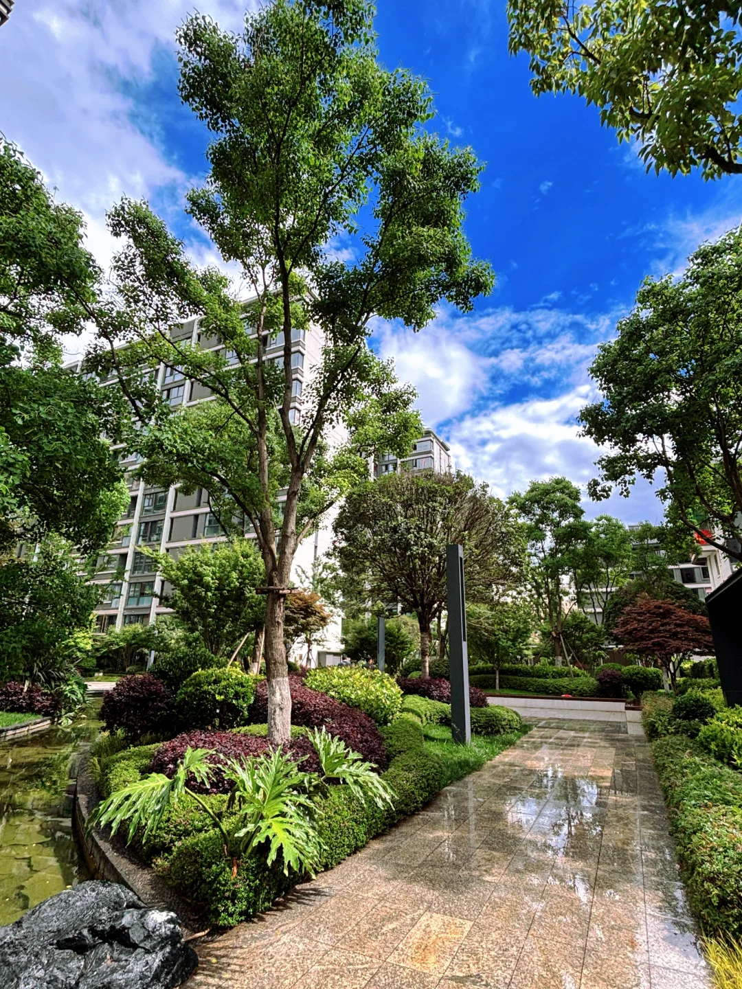 🌧️被昆明这个小区的雨后美景狠狠拿捏了