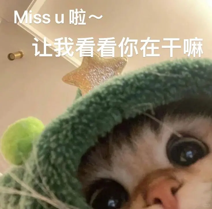 表情包|涩涩女生必备撩汉神器🫣🫣🫣