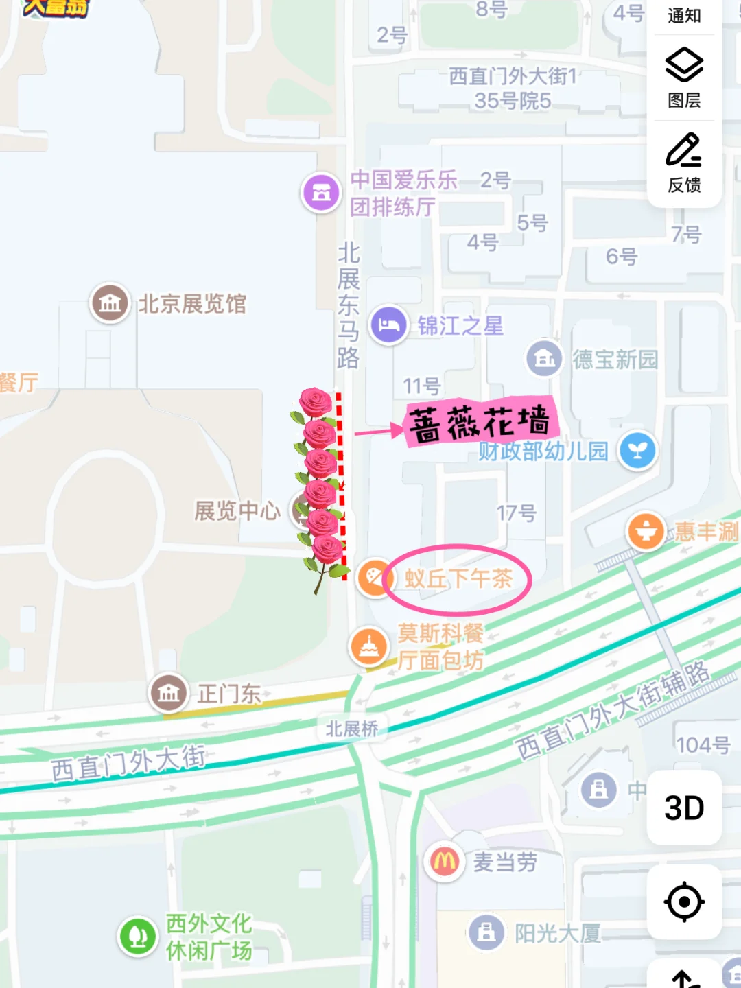 不藏了！北展这片百米蔷薇花墙即将绽放！