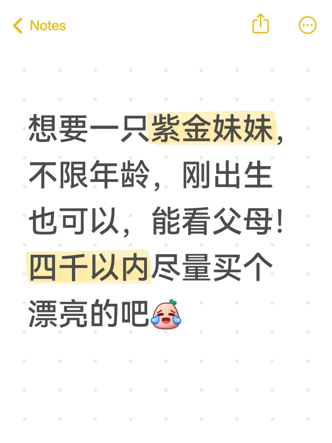 求购紫金或者焦糖蓝金妹妹