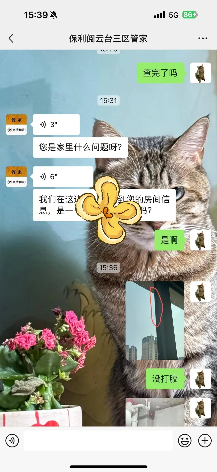 避雷邯郸保利阅云台