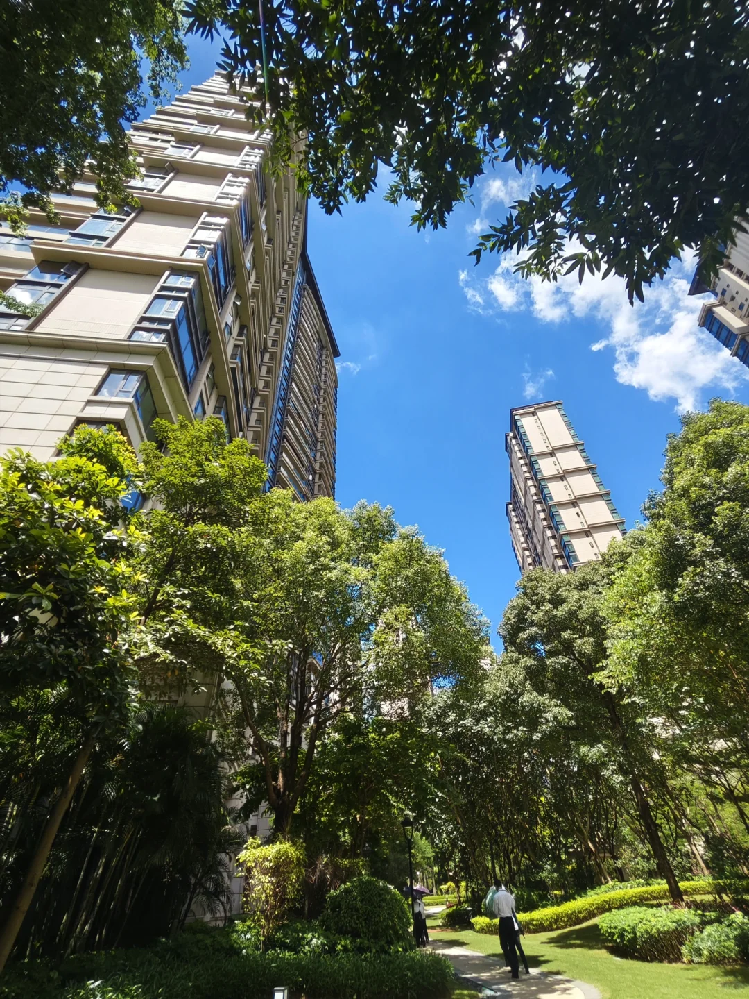 这是广州哪个小区🏘️园林这么好看🥰