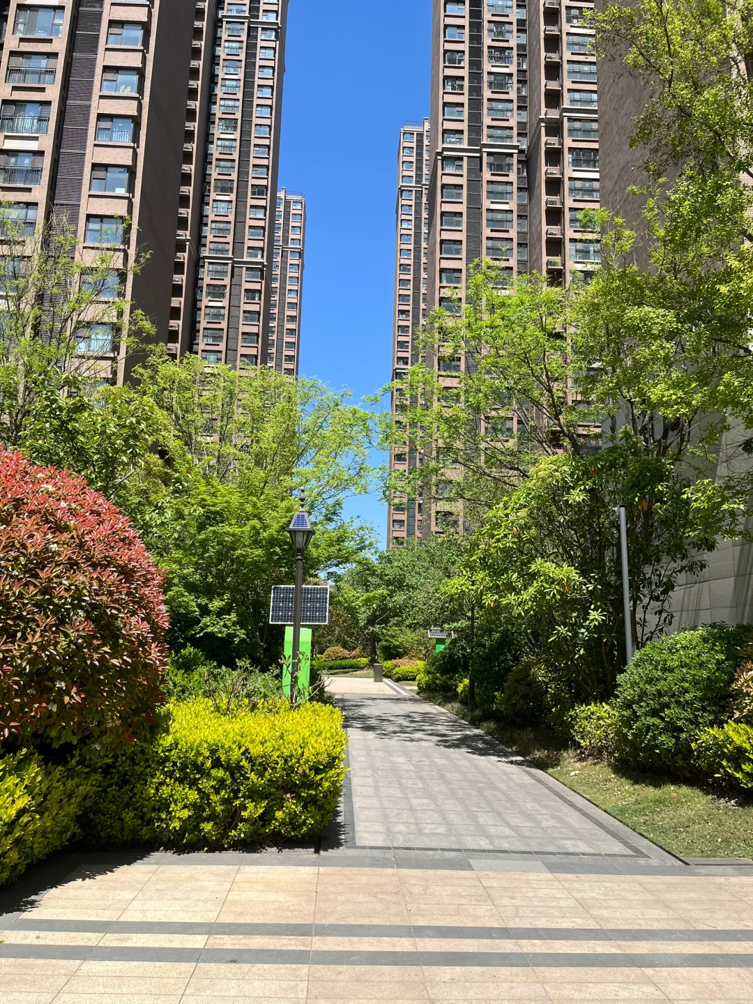 滨河看房 青风公园爱啦