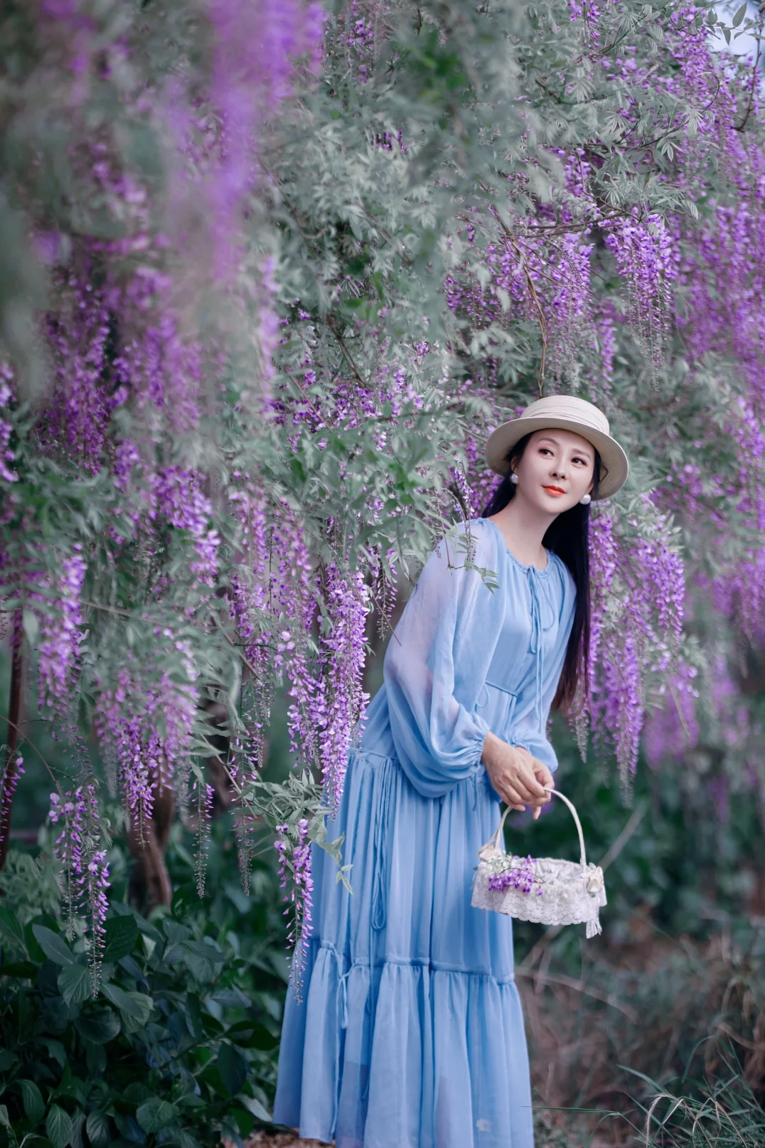 又是一年紫藤花开🌸🌸