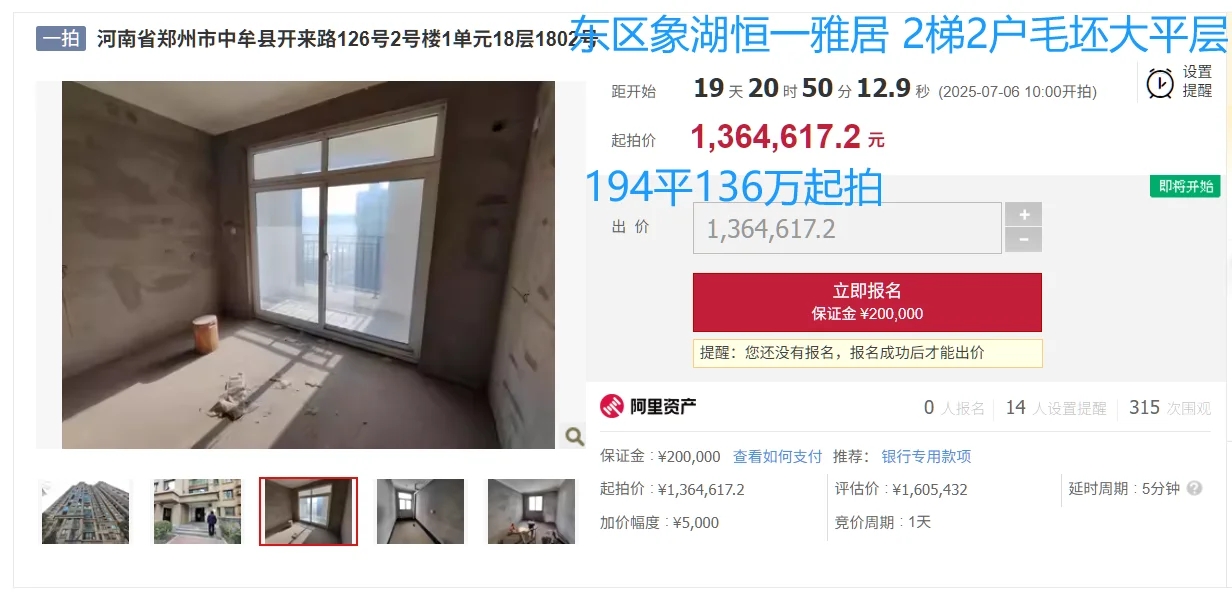 是哪个大老板一下子被拍卖了6套大房子啊？