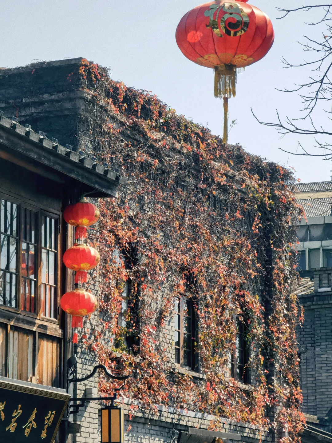 💸法拍房全流程拆解！手把手教你低价捡漏