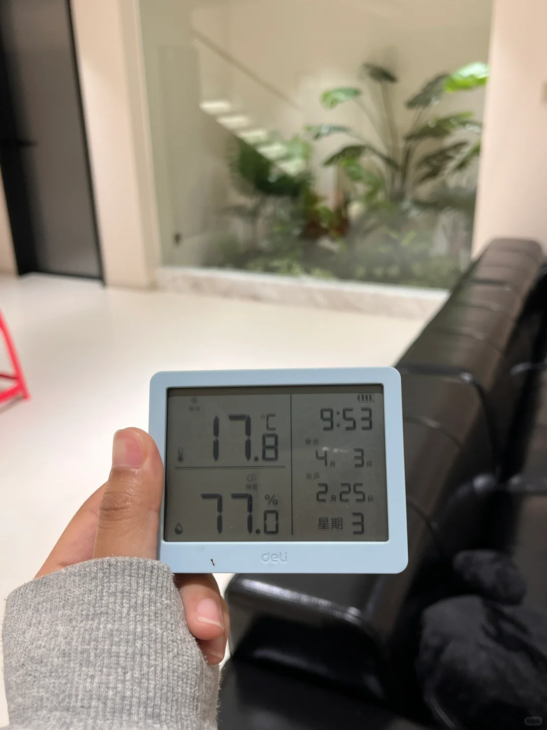 洋房一楼带花园地下室，下雨天沉浸式宅家