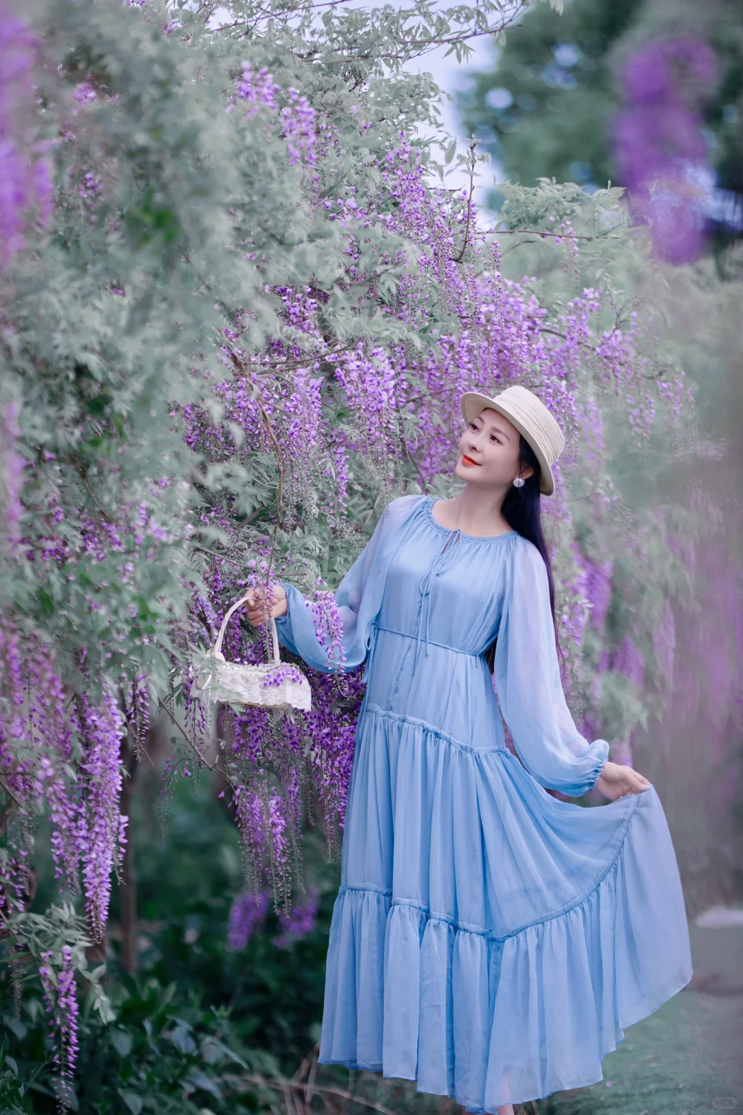 又是一年紫藤花开🌸🌸