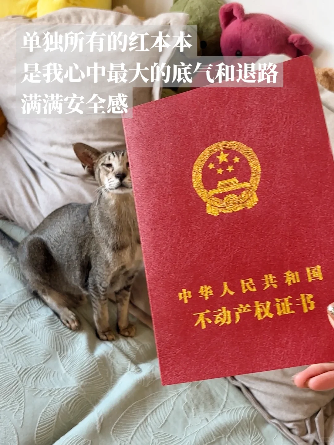 关于我花20W首付就在上海买到了房子这件事