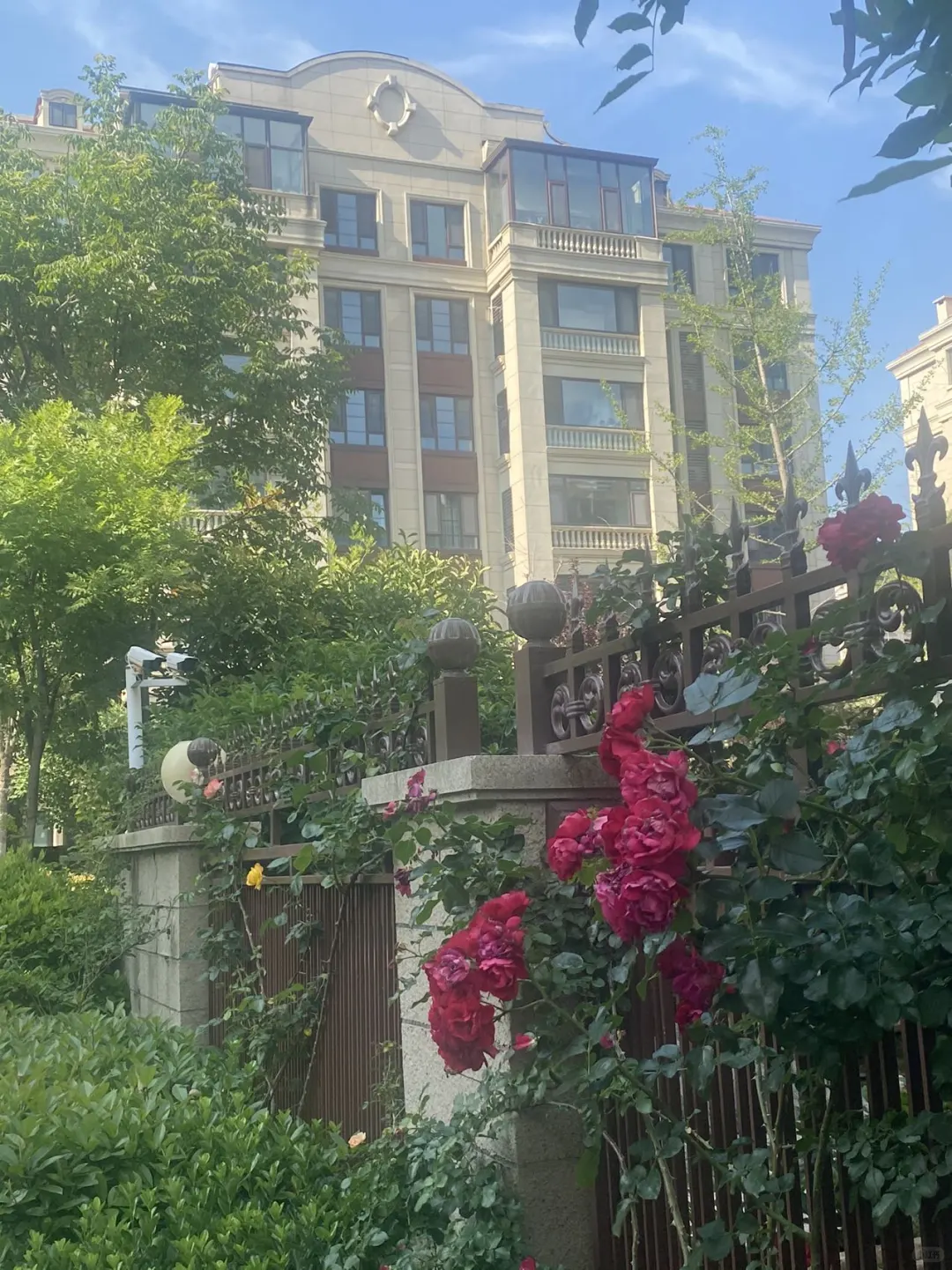 李沧（东李）143平精装洋房🏡一梯一户 带