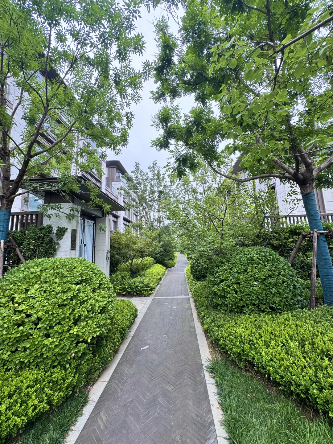 感谢北京的房价！ 开发商降价500万 超值😎