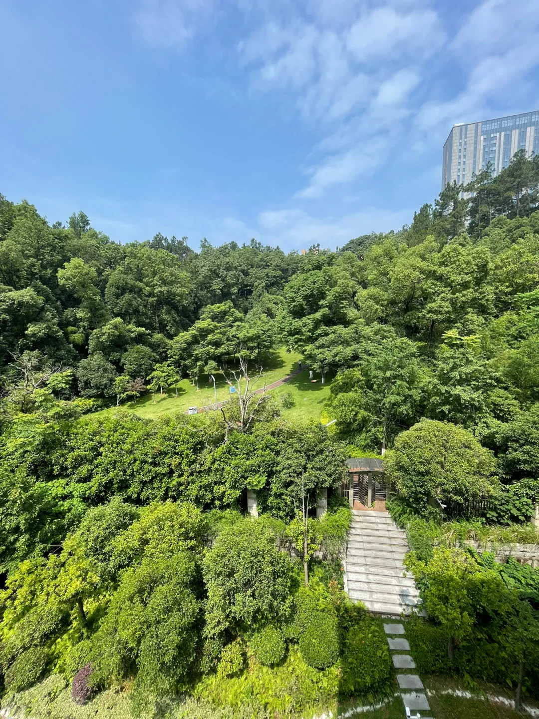 八方B区240平常委楼 电梯洋房大平层