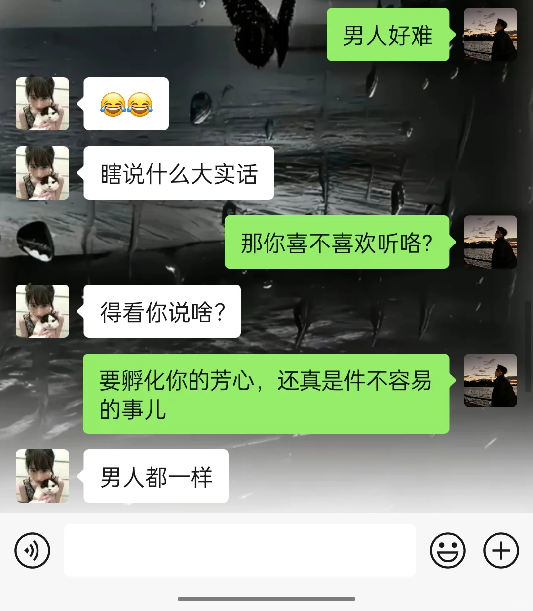 撩就大大方方的撩