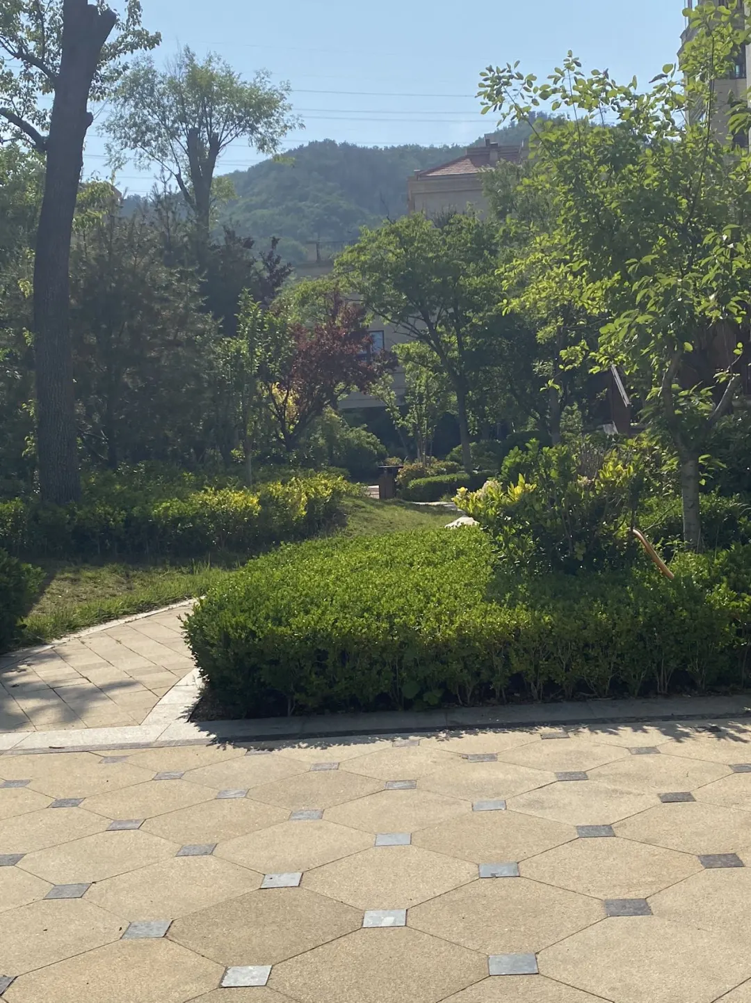 李沧（东李）143平精装洋房🏡一梯一户 带