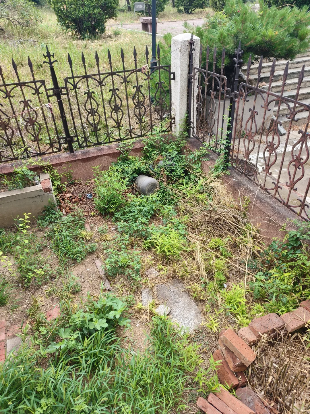 出售历下区个人一楼带院150平房屋