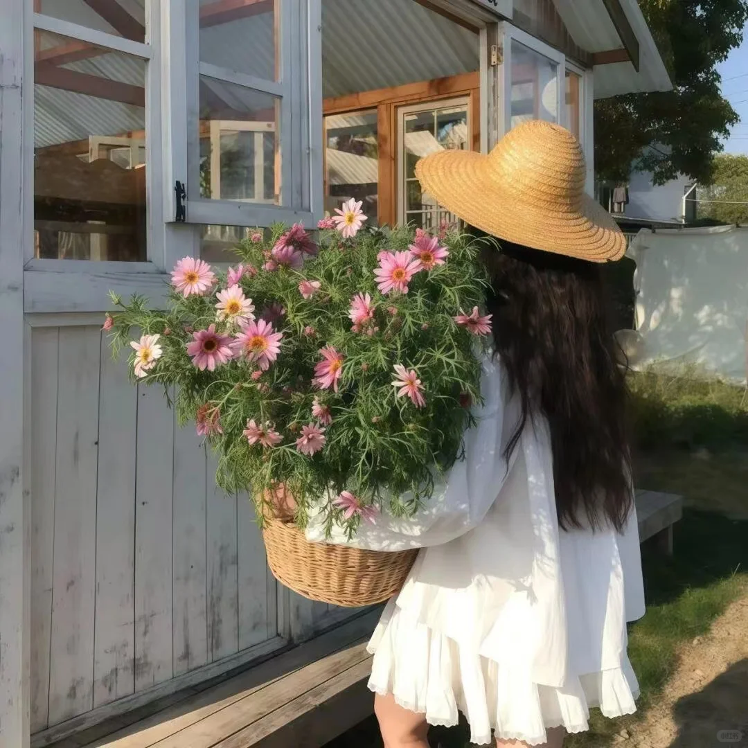 高级感满满的女生头像｜氛围感头像｜自由感
