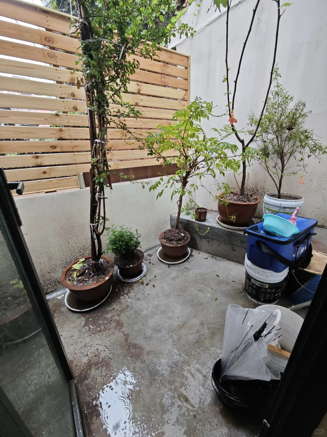 位置重庆大学，冒雨给你们分享的60万老独栋
