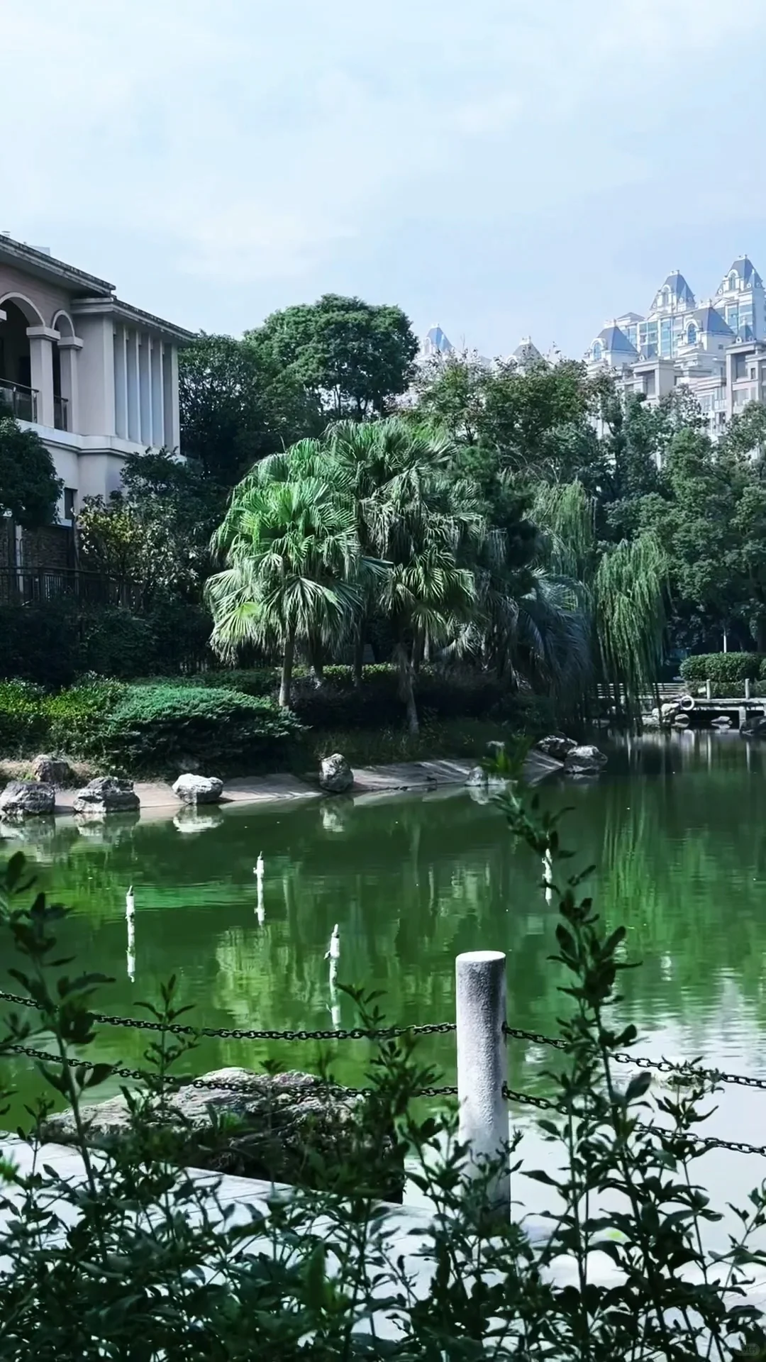 不听劝！买了别人不要的步梯洋房