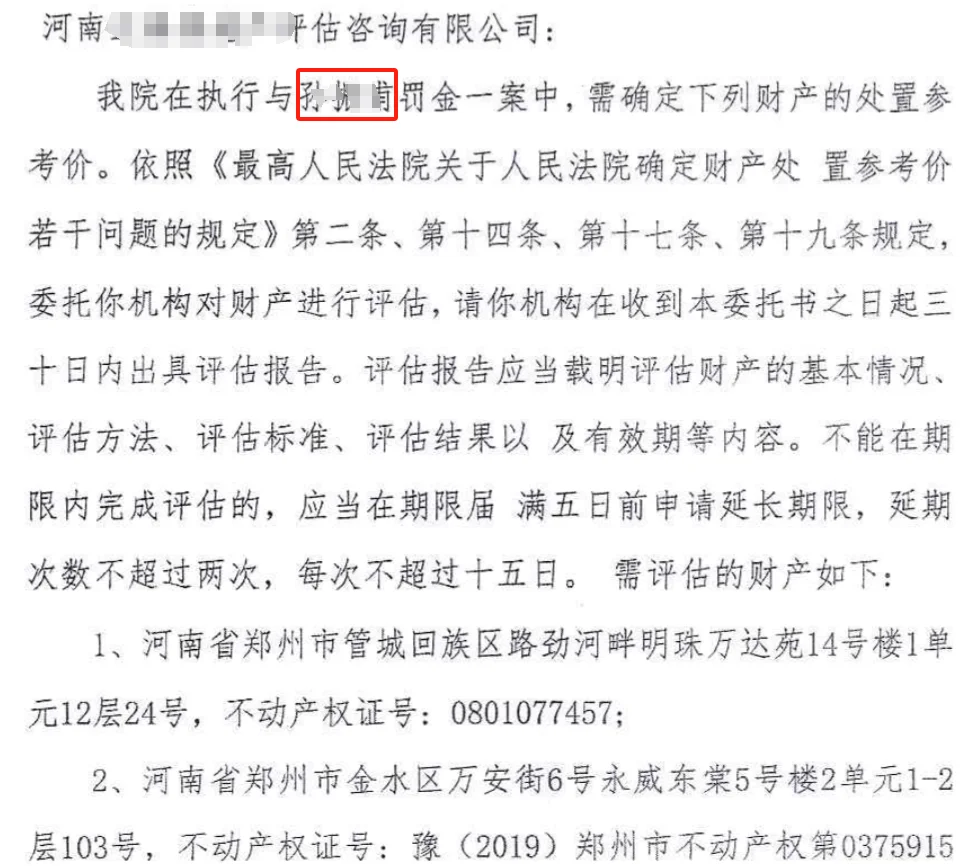 是哪个大老板一下子被拍卖了6套大房子啊？