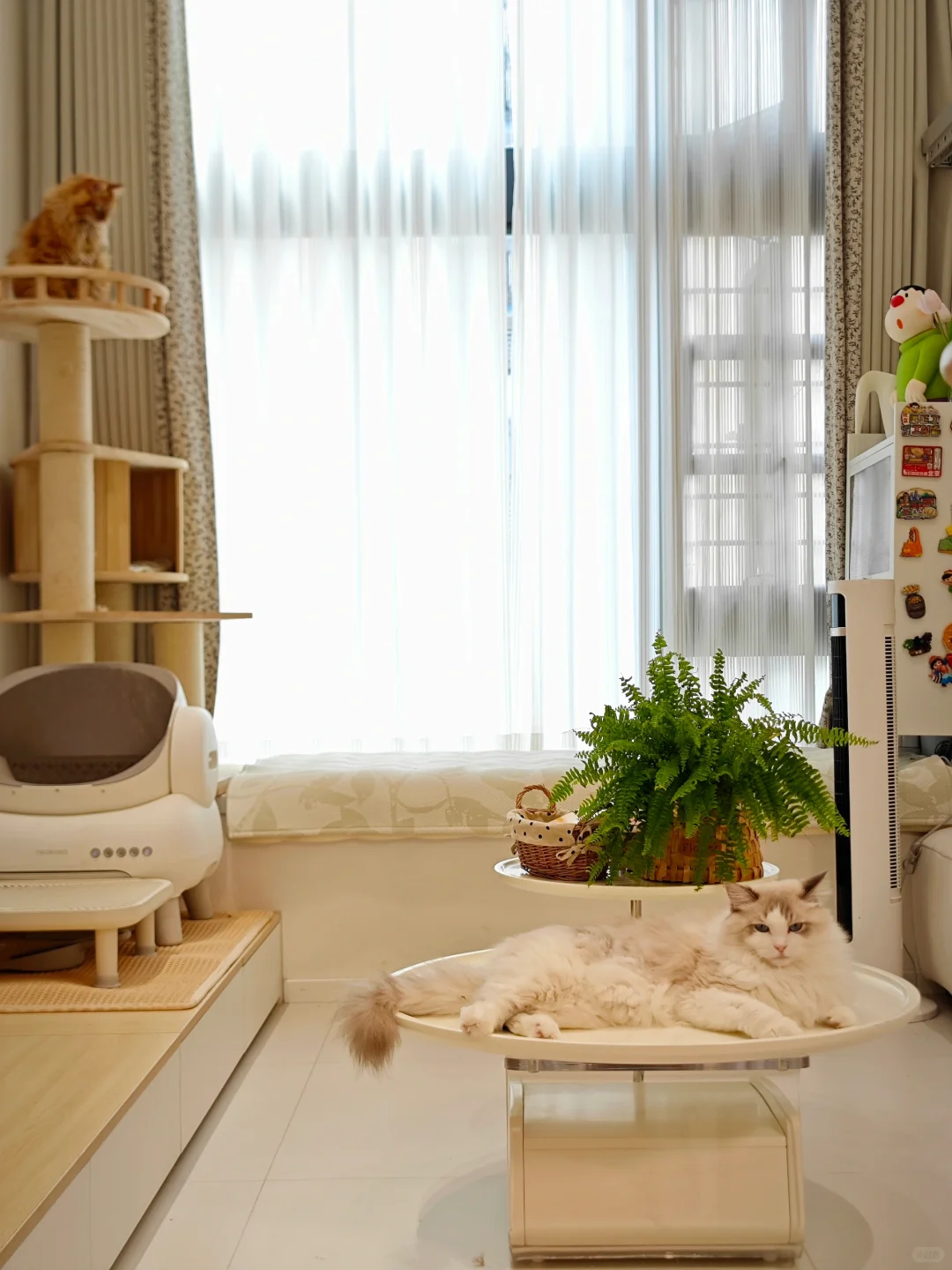 没听家里人的劝🏠买下29平loft公寓真的香