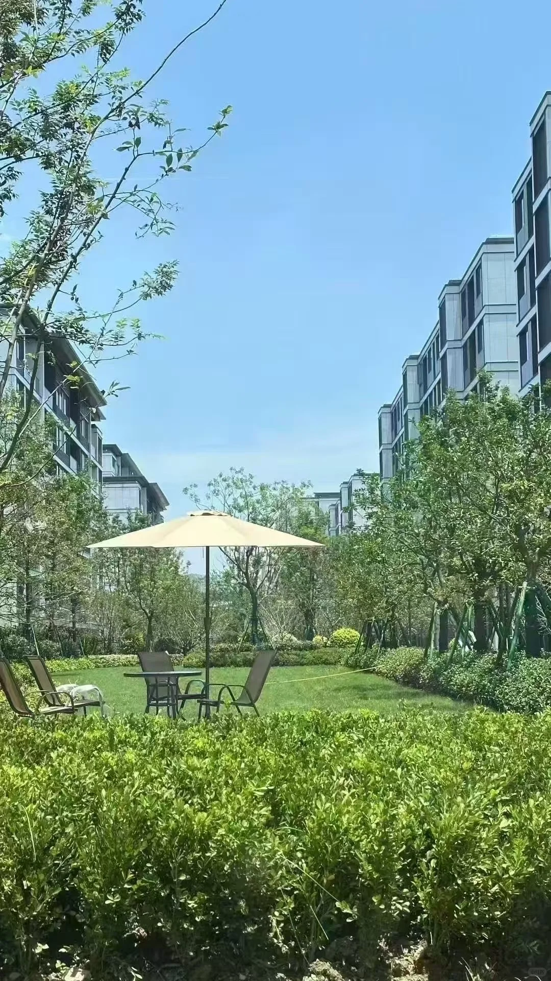 星创云珹府现房❌真实评测团购优惠😏
