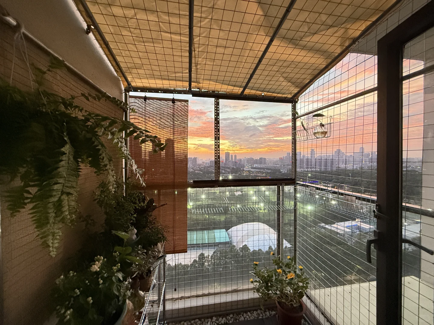 开放式阳台封窗😎最满意的一集